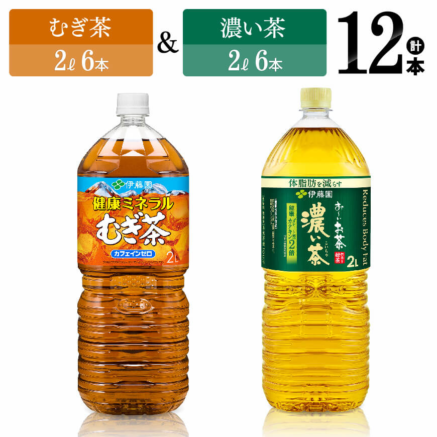 【ふるさと納税】伊藤園　むぎ茶（2L）＆濃い茶（2L）(PET）12本 【伊藤園 飲料類 お茶 麦茶 濃い茶 緑茶 PET セット 詰め合わせ 飲みもの】D07369