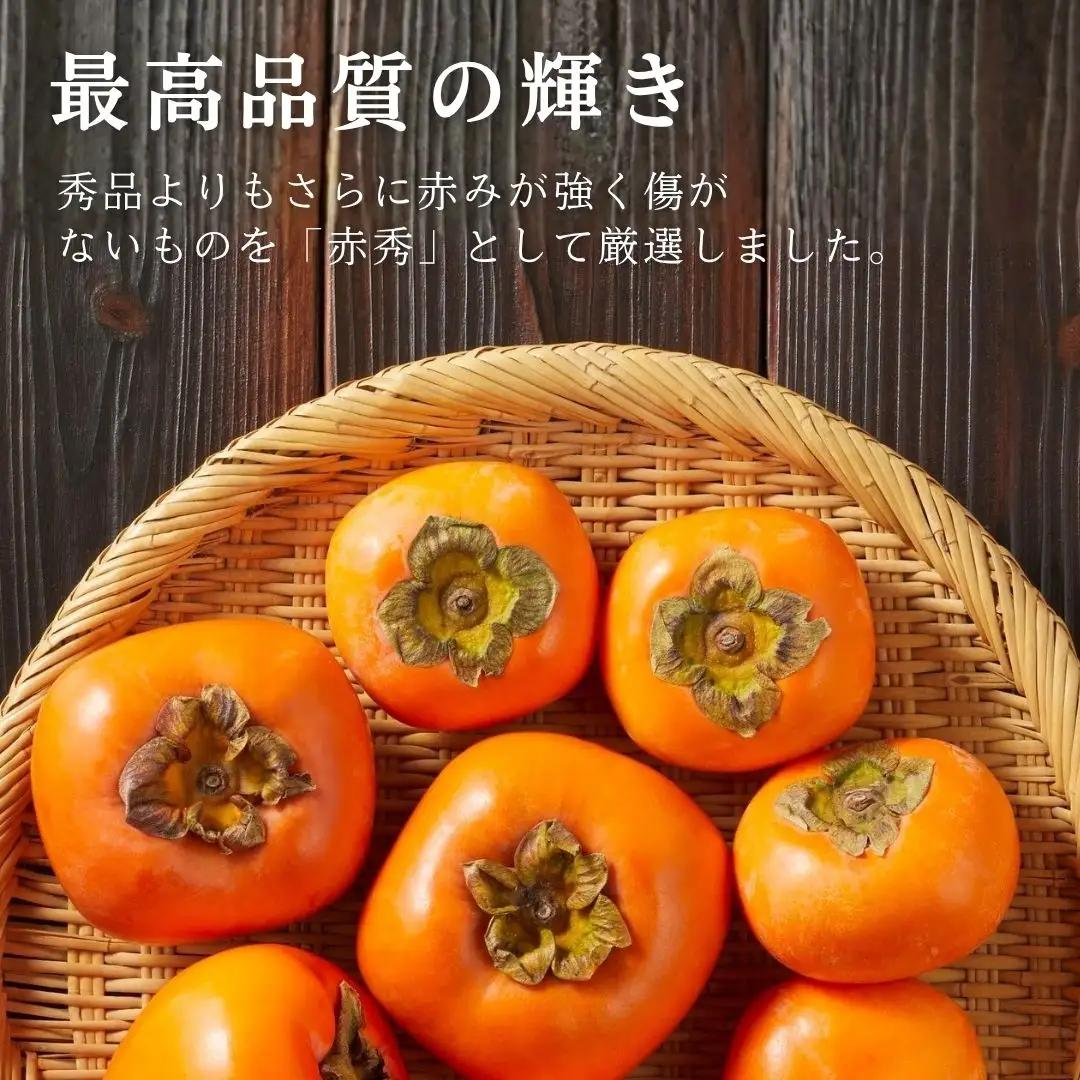 【先行予約 10月中旬より順次発送】おけさ柿 8玉 2L 赤秀 | 新潟県 佐渡市 柿