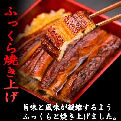 ふるさと納税 安芸市 【毎月定期便】藁焼きかつおのタタキ2節と高知県産うなぎの蒲焼き2尾セット 全6回 |  | 02