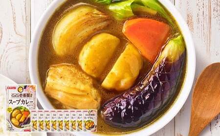 CoCo壱番屋監修 スープカレー 750g×10袋 カレー スープカレー用スープ CoCo壱 ココイチ