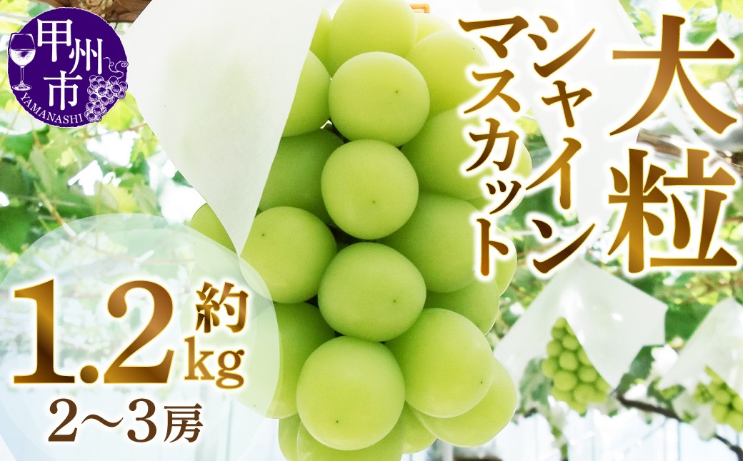 甲州市産厳選大粒シャインマスカット2房1.2㎏以上(MG)