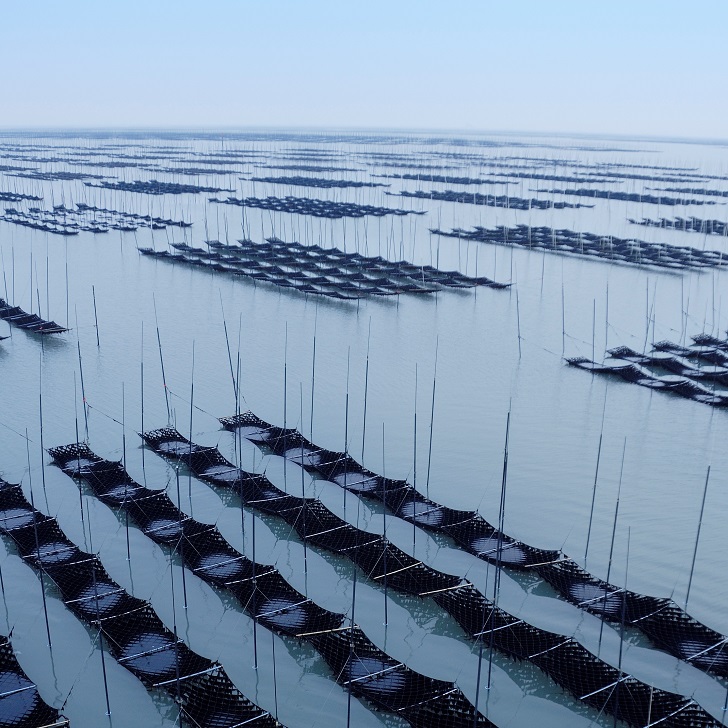 佐賀のり個包装詰合せB：B105-003_イメージ3