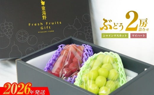 No.1142ぶどう　シャインマスカット＆マイハート２房詰め合わせ　化粧箱入【2026年12月発送】
