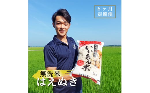 6回定期便 無洗米はえぬき 5kg×6回(計30kg) 農家直送