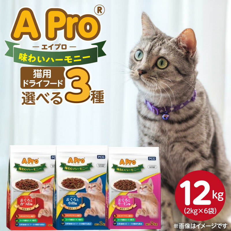 【ふるさと納税】A Pro 味わいハーモニー 猫用 ドライフード 2kg × 6袋 計 12kg 選べる セット内容 まぐろとかつお まぐろとサーモン まぐろと小魚 成猫用 総合栄養食 愛猫 健康維持 サポート 小さめ 薄型 食べやすい 猫 キャットフード 福岡県 久留米市