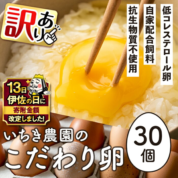 【ふるさと納税】【伊佐の日・寄附額改定】《訳あり・毎月数量限定》いちき農園のこだわり卵(計30個・15個入り×2パック) 平飼い 鶏 たまご 低コレステロール 抗生物質不使用 卵かけご飯 TKG 訳あり【いちき農園】