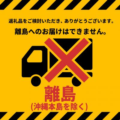 ふるさと納税 境町 Yogibo Giga Max ヨギボー ギガマックス 【ブラック】 |  | 03