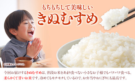 令和5年産 米 岡山県産 きぬむすめ 無洗米 20kg ありがとう園《30日以内に出荷予定(土日祝除く)》岡山県 矢掛町 無洗米 米 コメ 一等米