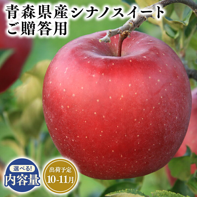 【ふるさと納税】≪内容量が選べる!≫青森県産 贈答用 シナノスイート 3kg 5kg 10kg【青森県 平川市 そと川りんご園】10月〜11月発送 贈答 青森 青森県産 平川 りんご リンゴ 林檎 くだもの 果物 フルーツ レビューキャンペーン