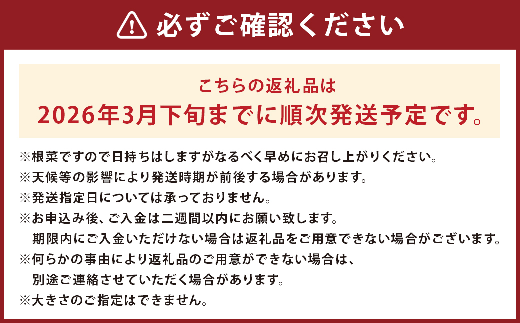 熊本県産 紅はるか 約5kg べにはるか さつまいも サツマイモ さつま芋 お芋 芋 【2026年3月下旬まで発送予定】