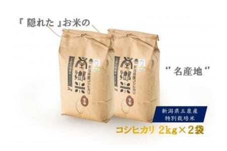 【令和6年度産新米】特別栽培米コシヒカリ「南郷米」玄米4kg（2kg×2袋） 有限会社ファームみなみの郷