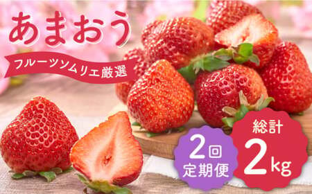 【全2回定期便】福岡産 いちご【春】あまおう 4パック＜南国フルーツ株式会社＞那珂川市 いちご[GCD043]