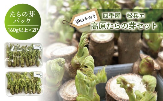 四季屋　松兵エ　春のかおり「高原たらの芽」