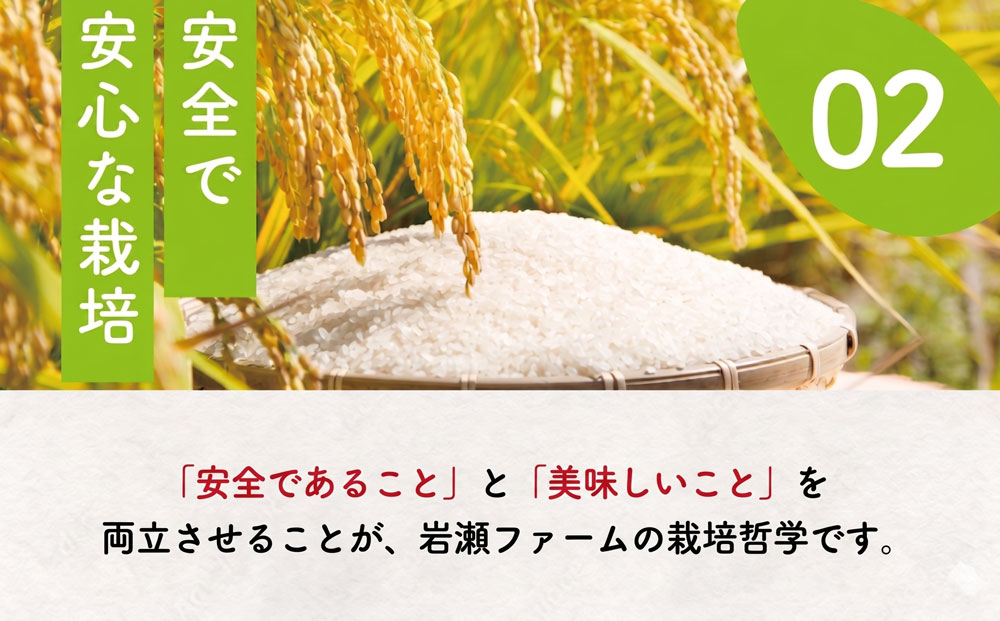 【コシヒカリ 5kg】 米 お米 こめ コメ こしひかり 【令和7年度産】 【千葉県産】 kome okome 精米 白米 ご飯 ごはん 米 ごはん 備蓄米 国産 炊飯 ※ ブランド米 甘い ツヤ ギ