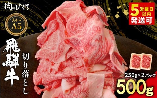 【12月16日入金分まで年内発送】 【最短発送】 飛騨牛 切り落とし 500g（250g×2P） A5 A4 国産 牛 黒毛和牛 和牛 牛肉 切落し 切り落し 薄切り 訳あり 牛丼 すき焼き しゃぶしゃぶ 炒め物 東白川村 岐阜 飛騨 贅沢 霜降り ロース バラ もも ウデ 肉のひぐち
