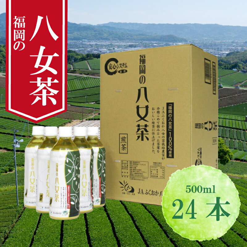 【ふるさと納税】八女茶 煎茶ペットボトル 500ml×24本 お茶 ティー 八女茶 小分け お手軽 簡単 買い回り お買い物マラソン スーパーセール 川崎 福岡 ペットボトル 清涼飲料水