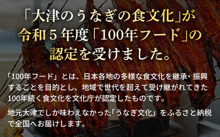 老舗うなぎ料理 「逢坂山 かねよ」 うなぎ蒲焼 二尾 （約175g×2） [KY002]/ 鰻 うなぎ 国産鰻 国産うなぎ 鰻蒲焼 うなぎ蒲焼き 炭火