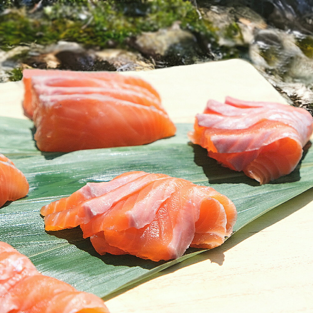 【ふるさと納税】信州サーモン フィレ （450g or 900g） /長野県白馬村 切り身 生食用 刺身用 冷凍 サーモン丼 サーモン寿司 カルパッチョ ムニエル 冷凍 国産 川魚 淡水 養殖 信州グルメ【Q0420359-B/Q0420630-B】