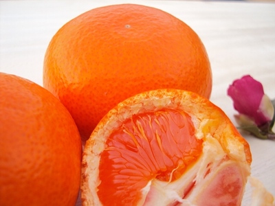 うまみ際立つ お歳暮みかん サイズ混合_5kg