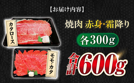 飛騨牛赤身・霜降り焼肉各300g 飛騨牛 赤身 霜降り 焼肉[ANBO023]