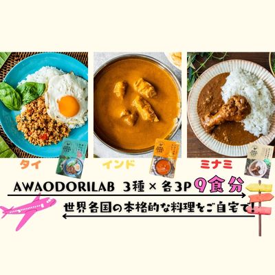 【ふるさと納税】AWAODORILAB3種9食