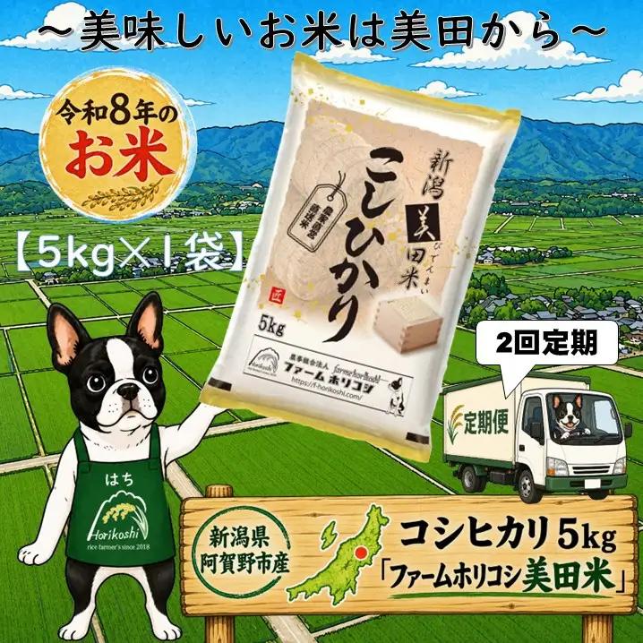【令和8年産新米】【2ヶ月定期便】阿賀野市産 コシヒカリ 「ファームホリコシ美田米」 5kg×2回  白米 精米 新潟県 米 こめ コメ 10月上旬頃より発送開始予定 3H05023 