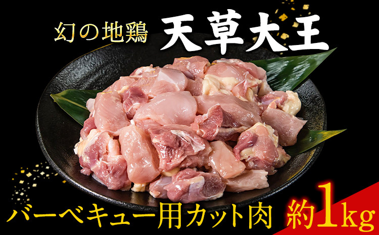 
                  天草大王 バーベキュー用カット肉 1kg 熊本県産 【幻の地鶏】葦北郡 津奈木町 もも肉 むね肉《60日以内に出荷予定(土日祝除く)》
                