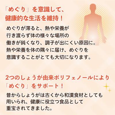 ふるさと納税 日置市 【てまひま堂】ほっこりしょうが(1袋31粒入り×3袋)鹿児島　日置市　1日1粒目安 |  | 02