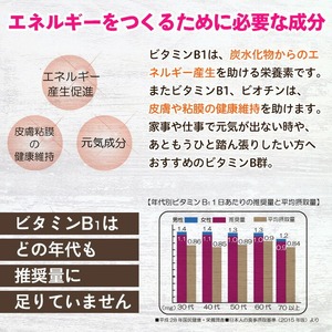 No.1300-A ＜定期便・全3回(隔月)＞ビタミンB群(2袋×3回・計6袋) 鹿児島 日置市 健康食品 サプリ 栄養バランス 食生活 安心安全 ビタミン 定期便 頒布会 【てまひま堂】
