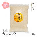 【ふるさと納税】大山こむぎ 1kg 小麦 こむぎ 国産小麦 全粒粉 石臼挽き 福成農園 鳥取県南部町