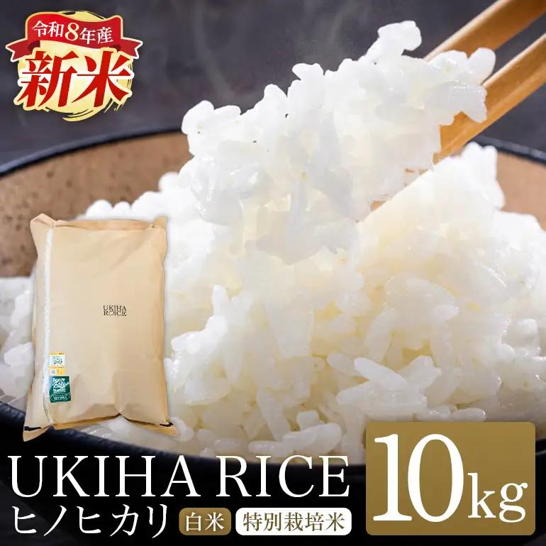 米 白米 精米 UKIHA RICE 10kg 特別栽培米 ヒノヒカリ 令和8年産 新米 みずほファーム A06-006