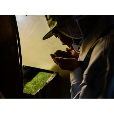 ふるさと納税 入間市 一煎パック入り 狭山茶ティーバッグ「霞川 ほうじ茶」 |  | 02