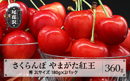 先行予約 さくらんぼ やまがた紅王 360g(180g×2パック) 2Lサイズ 秀品 山形県産 令和9年産 2027年産 sb-ybs2x360