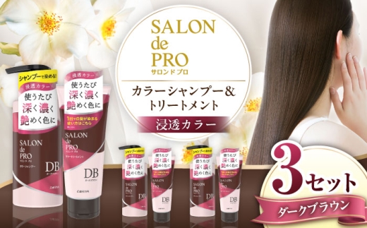 ダリヤ サロンドプロ カラーシャンプー・トリートメント 各3個セット【ダークブラウン】 / 稲沢市 / 日興商事株式会社 [BMBK005-02]