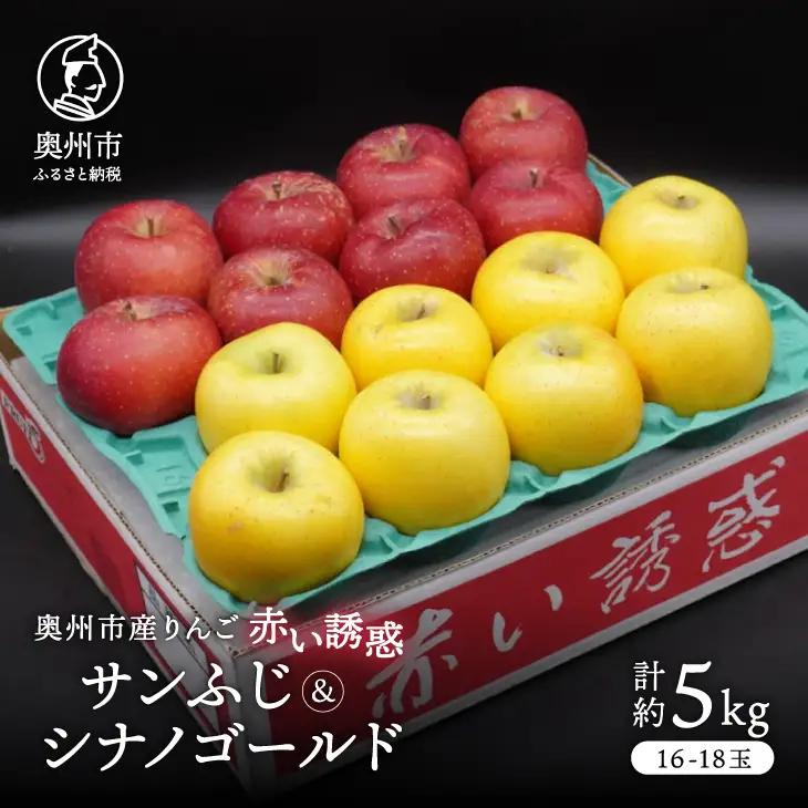 奥州市産りんご 赤い誘惑「サンふじ&シナノゴールド」 約5kg 16-18玉 [AQ081]