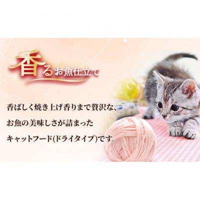 ふるさと納税 伊丹市 銀のスプーン三ツ星グルメ香るお魚仕立て健康に育つ子ねこ用お魚レシピ[54030330] |  | 01