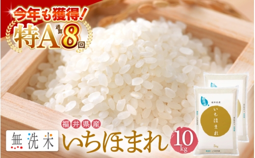特A通算8回！お米 令和7年産 無洗米 いちほまれ 10kg 福井県産【米 コメ kome 10キロ 精米 白米 便利 時短】 [e27-b017]