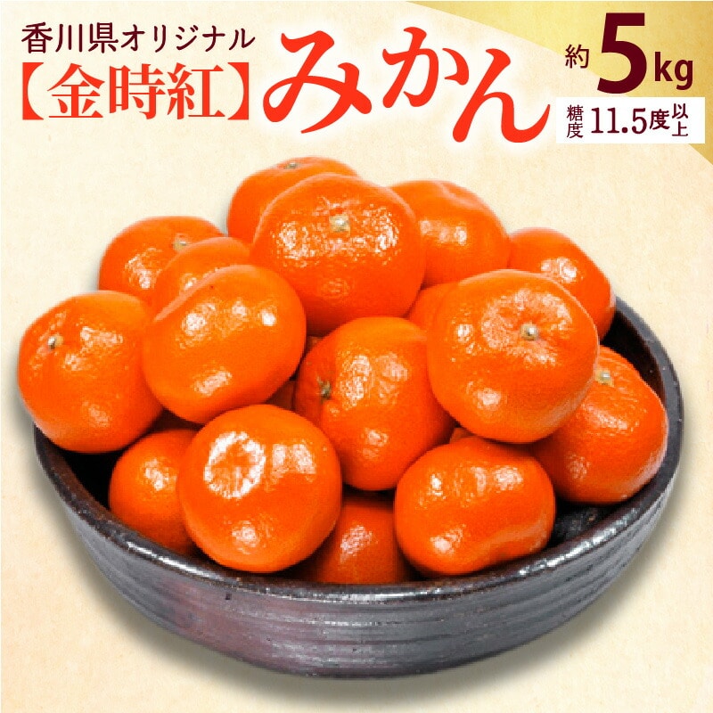 香川県オリジナルみかん 「金時紅」 約5kg