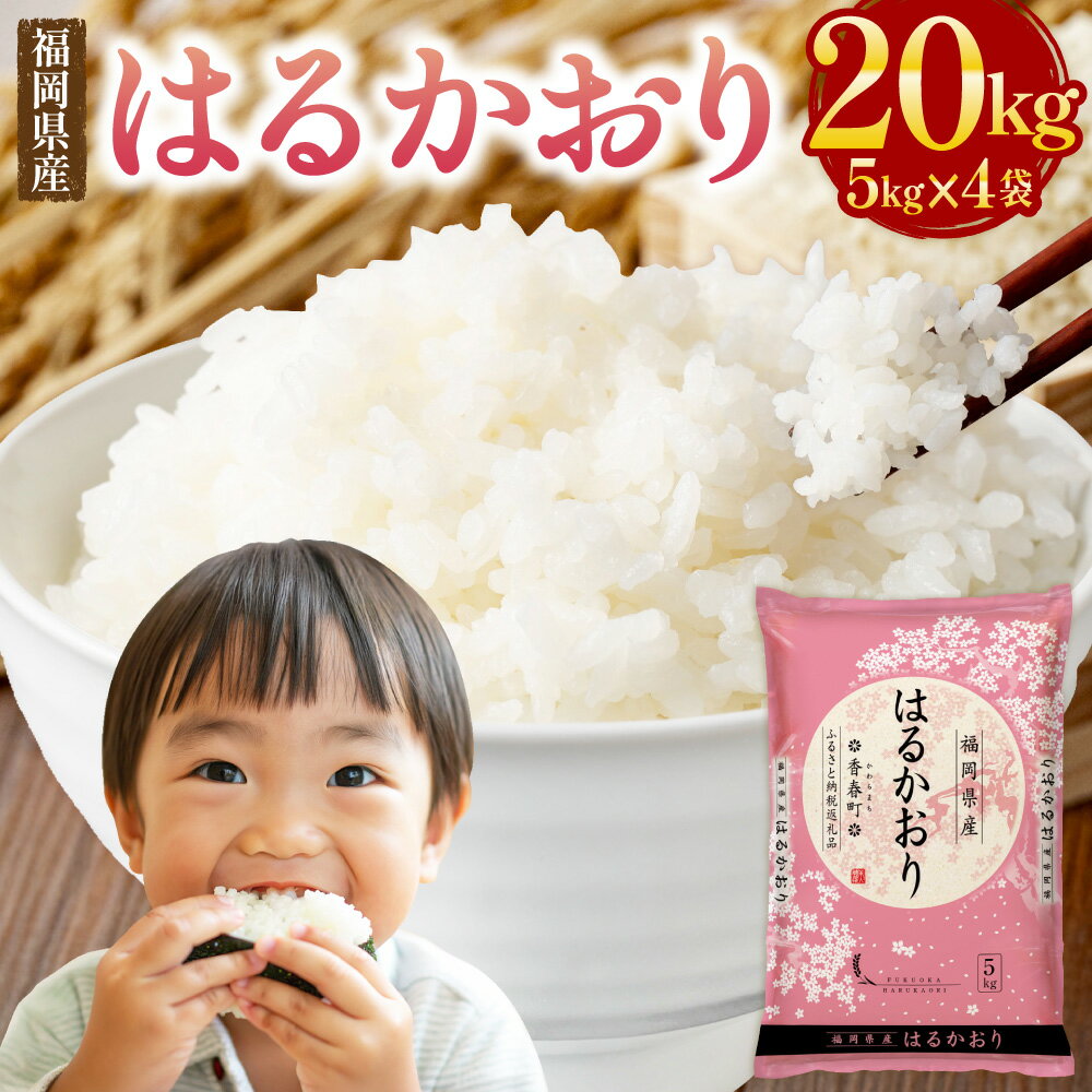 【ふるさと納税】福岡県産米 はるかおり 精米 20kg 【令和7年産】 32000 円 米 お米 白米 ブレンド米 コメ ご飯 ごはん ライス 1袋あたり5kg 4袋 国産 福岡県 香春町