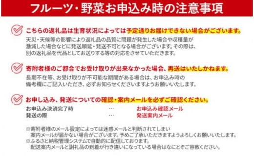 数量限定 ホワイトアスパラガス 2L 1kg 朝採り 朝採れ 直送 グリーンアスパラガス アスパラ 【2月～4月お届け】 BT02w ホワイト【2月〜4月お届け】