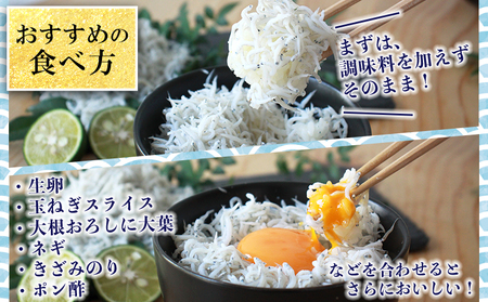 ＜老舗網元 濱田屋の釜あげしらす 計1kg（100g×10袋）＞『1か月以内に順次出荷予定』 減塩 数量限定 化粧箱 簡易包装 選べる 釜揚げ シラス じゃこ 海鮮 海産物 丼 小魚 乾物 小分け カ