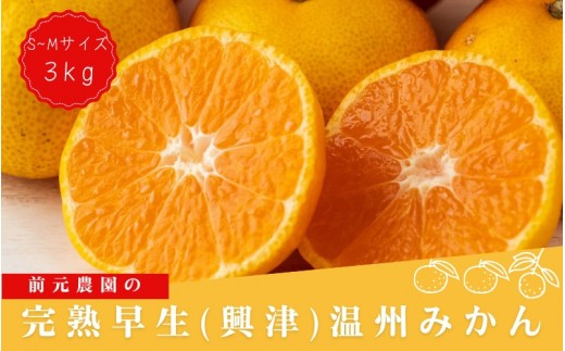 
                  S-Mサイズおまかせ 前元農園の完熟早生(興津)温州みかん 3kg【2026年12月初旬～下旬に順次発送予定】 /  フルーツ  早生 興津 温州 みかん 蜜柑 三重県  高品質 みえ アルギット【mmg018C】
                