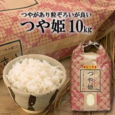 ふるさと納税 気仙沼市 米 宮城県産 つや姫 10kg 20564925