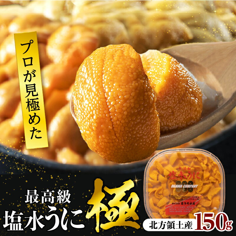 【ふるさと納税】【レビューキャンペーン対象】プロ厳選 最高級 塩水 うに 極 150g バフンウニ ミョウバン不使用 無添加 安心 安全 食品 うに丼 海鮮 海産物 魚介 人気 おすすめ プレゼント おつまみ お酒 寿司 パスタ 軍艦 トッピング ギフト 贅沢 北海道 浜中町 送料無料