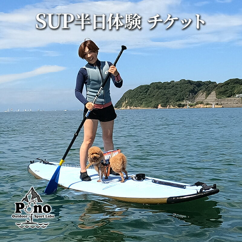 【ふるさと納税】【Pono Outdoor Sport Labo】SUP半日体験　 体験チケット SUP体験 マリンスポーツ 自然 体作り 生涯スポーツ スポーツ体験