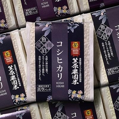 ふるさと納税 南魚沼市 令和7年産　南魚沼産 笠原農園米　コシヒカリ真空パック(450g×20個)