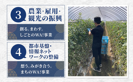 北海道 富良野市 寄附のみの応援受付 45,000円コース（返礼品なし 寄附のみ 45000円）
