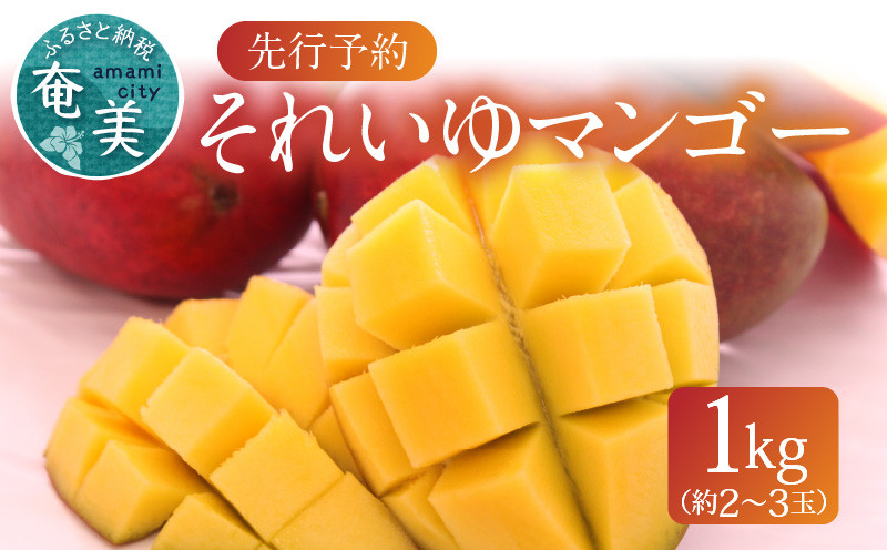 
                  それいゆマンゴー 1kg　A006-016
                