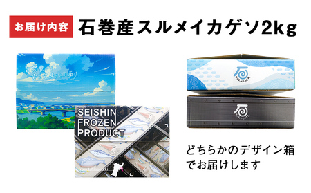 訳あり 石巻産 スルメイカ ゲソ 2kg 冷凍 スルメイカ