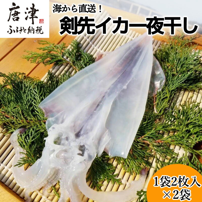 【ふるさと納税】海から直送！剣先イカ一夜干し1袋2枚入り(200g)×2袋 いか おつまみ 干物 酒の肴